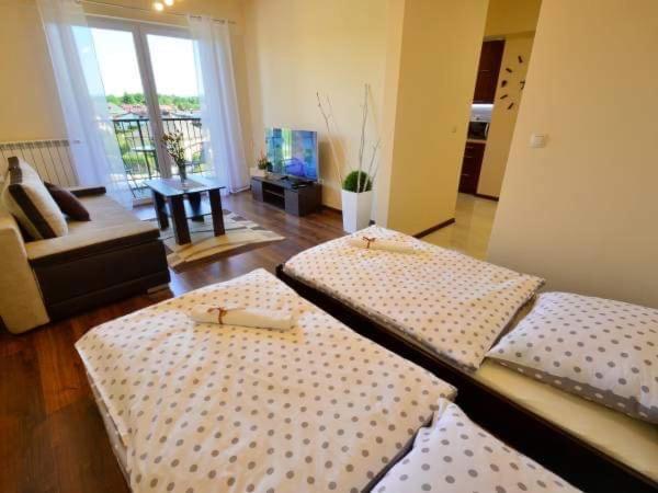 자토르 Apartament Antonio 아파트 외부 사진